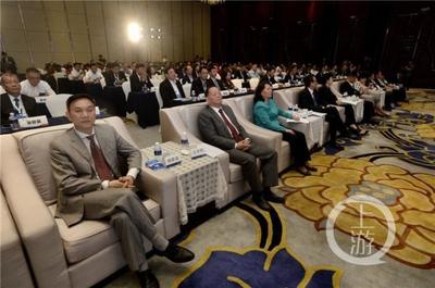 3D打印、石墨烯、人脸识别…重庆这些研发成果让“一带一路”侨商入了迷