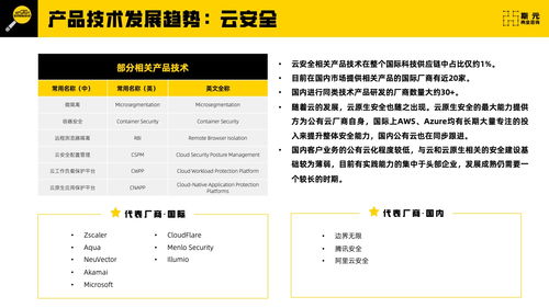 斯元商业咨询 2023年网络安全科技供应链报告 