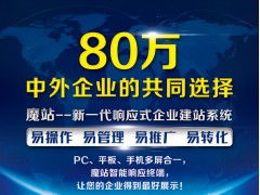 辽宁值得信赖的魔站 网络建站推荐 大连快照推广