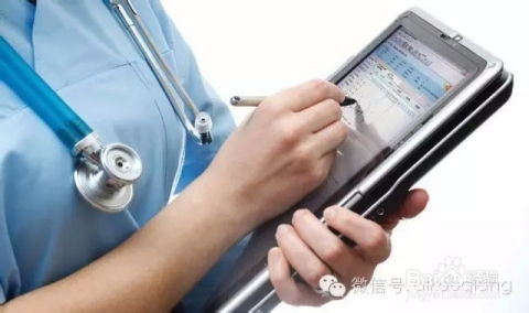 虚火过重的o2o,为你指明12个o2o方向