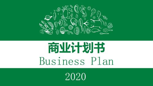 绿色食品商业 创业计划书模板