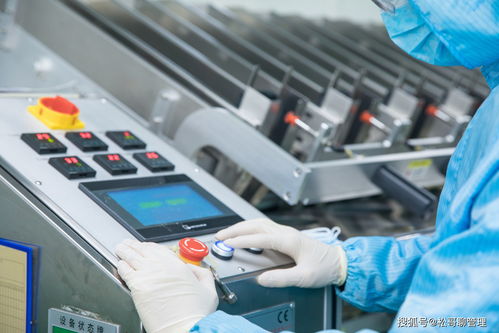 职场小白快速进阶 做到这三点，成为“别人家的员工”