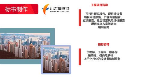 小飞侠 2021巴中投标书制作与商务咨询的首选