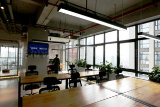 388元租个工位创业吧！贵阳共享创业项目助力初创者